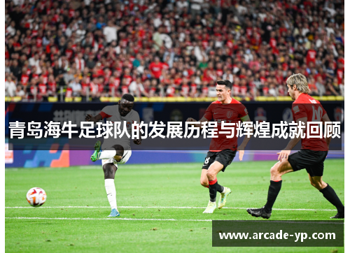 青岛海牛足球队的发展历程与辉煌成就回顾