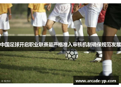 中国足球开启职业联赛最严格准入审核机制确保规范发展