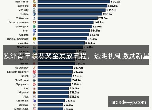 欧洲青年联赛奖金发放流程,透明机制激励新星 欧洲青年联赛奖金发放流程,透明机制激励新星