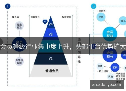会员等级行业集中度上升，头部平台优势扩大